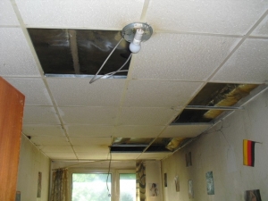 Desinfizierung-Renovierung (9).JPG